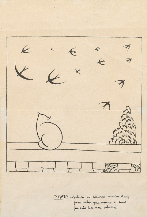 Gato