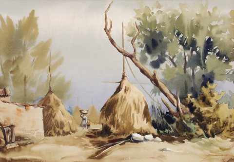 PARAÑO