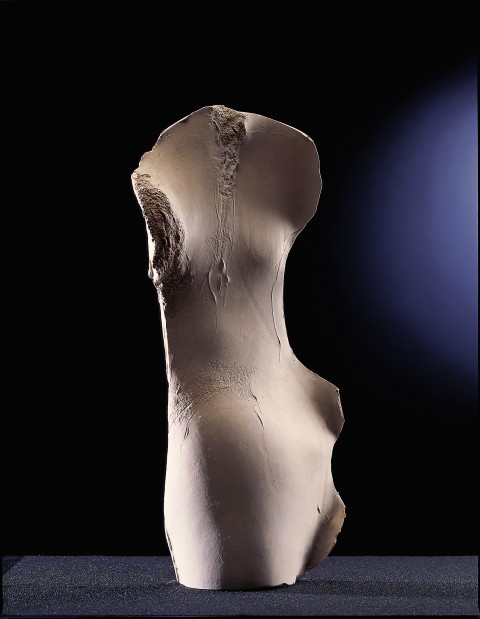 NINFA DE PONTEVELLA